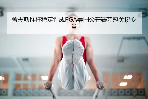 she-fu-lei-tui-gan-wen-ding-xing-cheng-mei-guo-gong-kai-sai-duo-guan-guan-jian-bian-liang-3-274.jpg