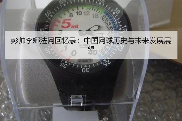 peng-shuai-li-na-fa-wang-hui-yi-lu-zhong-guo-wang-qiu-li-shi-yu-wei-lai-fa-zhan-zhan-wang-2-496.jpg