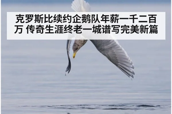 克罗斯比续约企鹅队年薪一千二百万 传奇生涯终老一城谱写完美新篇