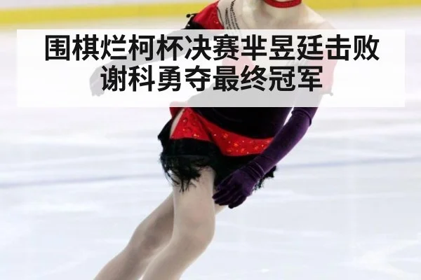 围棋烂柯杯决赛芈昱廷击败谢科勇夺最终冠军