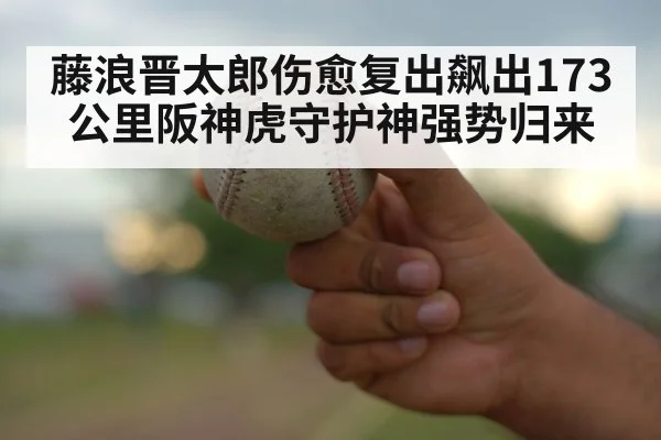 baseball pitch close up